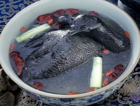 Silkie Chicken, ayam imut berbulu lembut yang bikin gemas