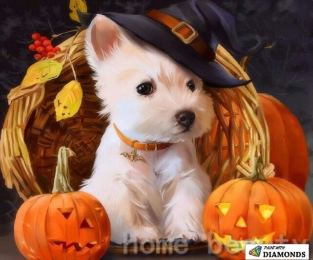 Gini cara anjing merayakan Hallowen, kostumnya bikin gemas!