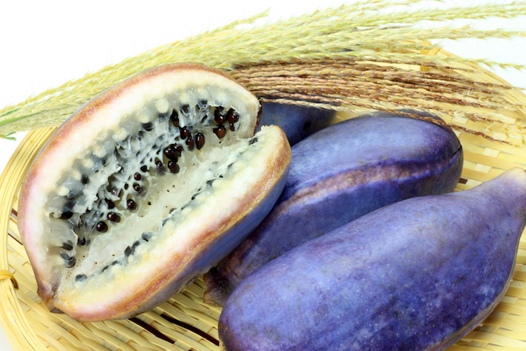 Jepang punya beberapa buah dengan bentuk tak biasa, lho