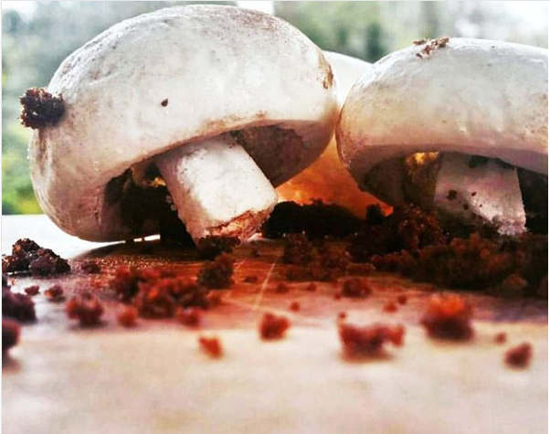 16 Potret kue ini aneh-aneh malah bikin kamu nggak jadi lapar