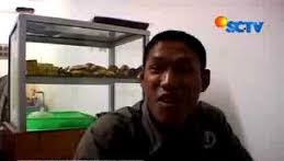 sctv.com
