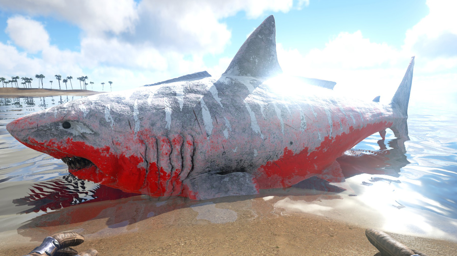 Gta 5 акула мегалодон фото 95