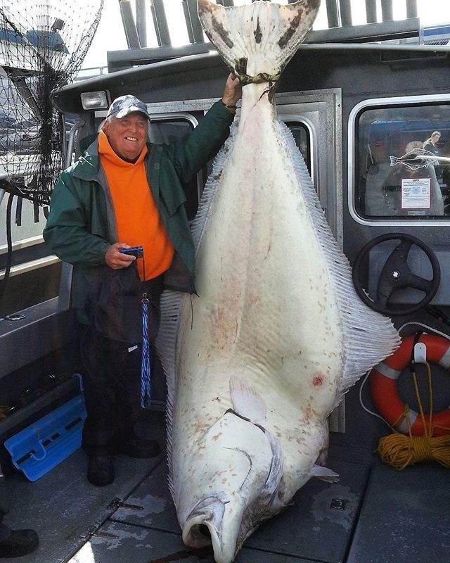 instagram.com/fishinglife.ig