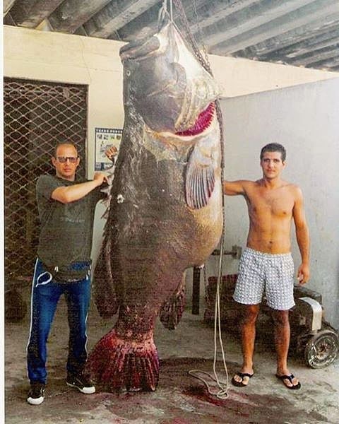 instagram.com/fishinglife.ig