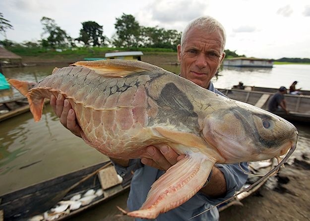 instagram.com/fishinglife.ig