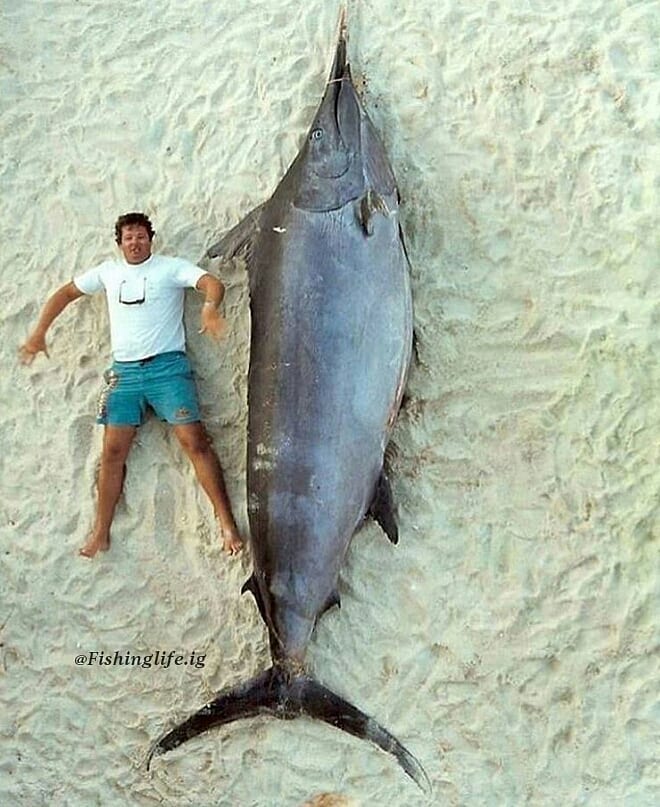 instagram.com/fishinglife.ig