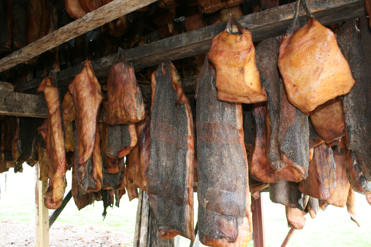 Ini 5 makanan paling aneh dan menjijikkan di dunia