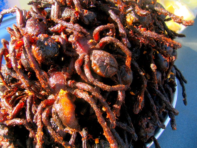 Ini 5 makanan paling aneh dan menjijikkan di dunia