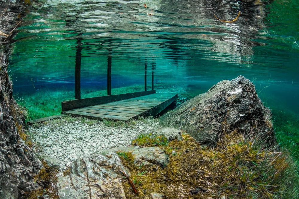 Ресторан зеленое озеро. Грюнер Зее Австрия озеро. Австрия зеленое озеро подводный парк. Грюнер-Зее озеро зимой. Озеро Грюнер Зее (или зеленое озеро) в Австрии.