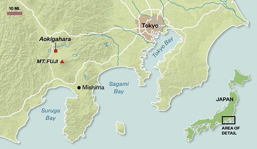 20 Fakta mengenai Hutan Aokigahara yang dikunjungi Qorygore