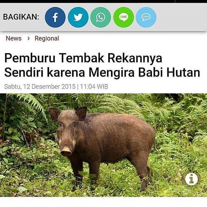 15 Meme di media sosial ini lucunya kebangetan, bikin ngakak