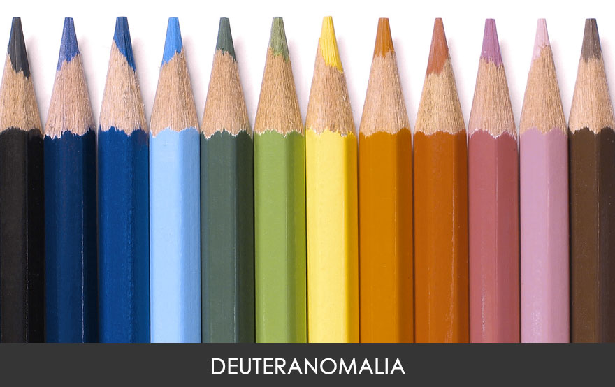 Begini perbedaan orang dengan buta warna jika melihat dunia