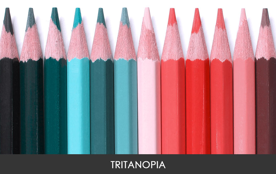 Begini perbedaan orang dengan buta warna jika melihat dunia