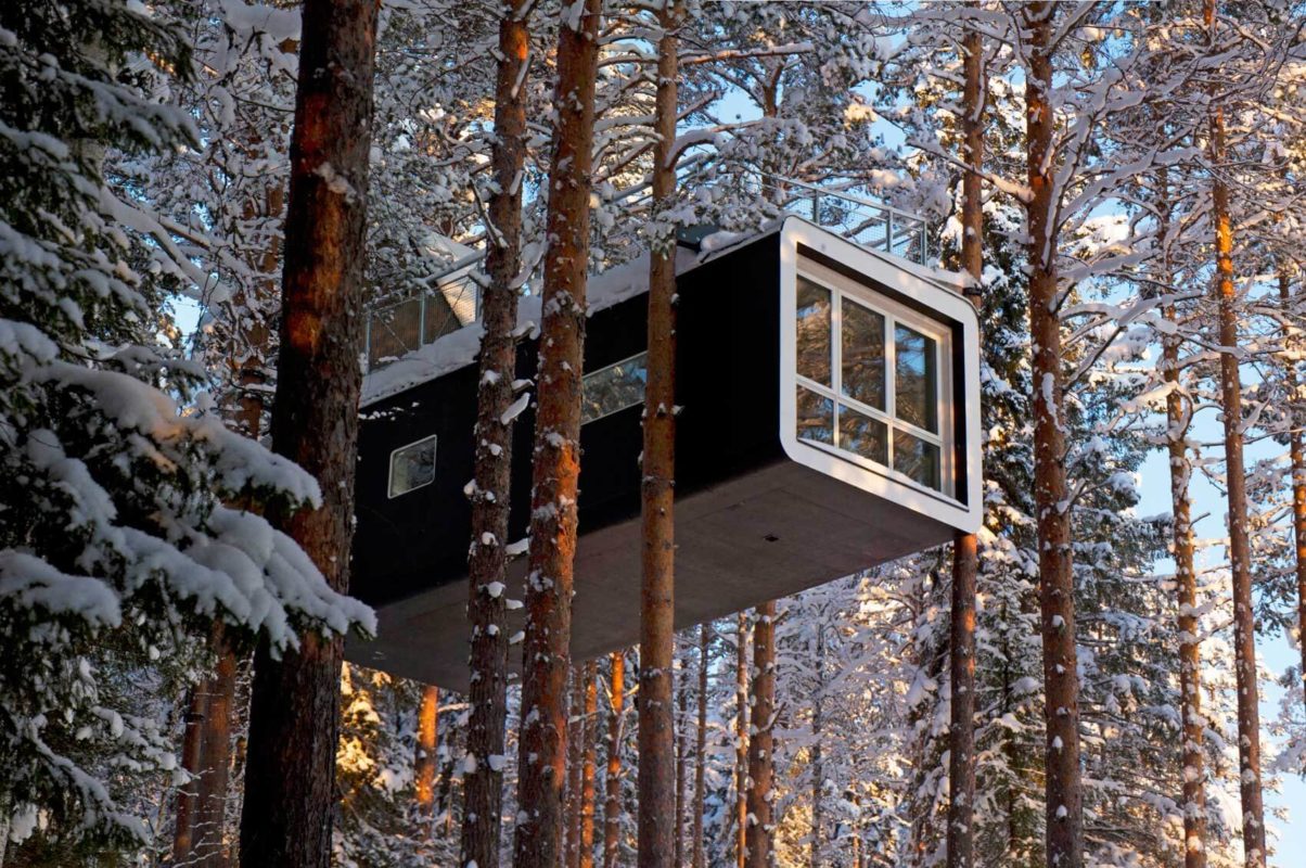 The cabin