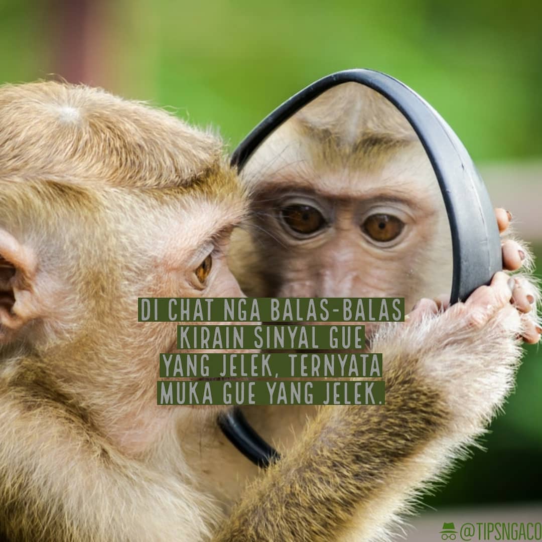 Sumber: instagram.com/tipsngaco