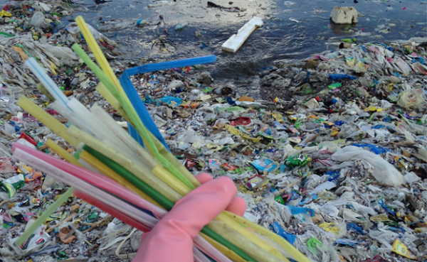 Sampah Sedotan Plastik