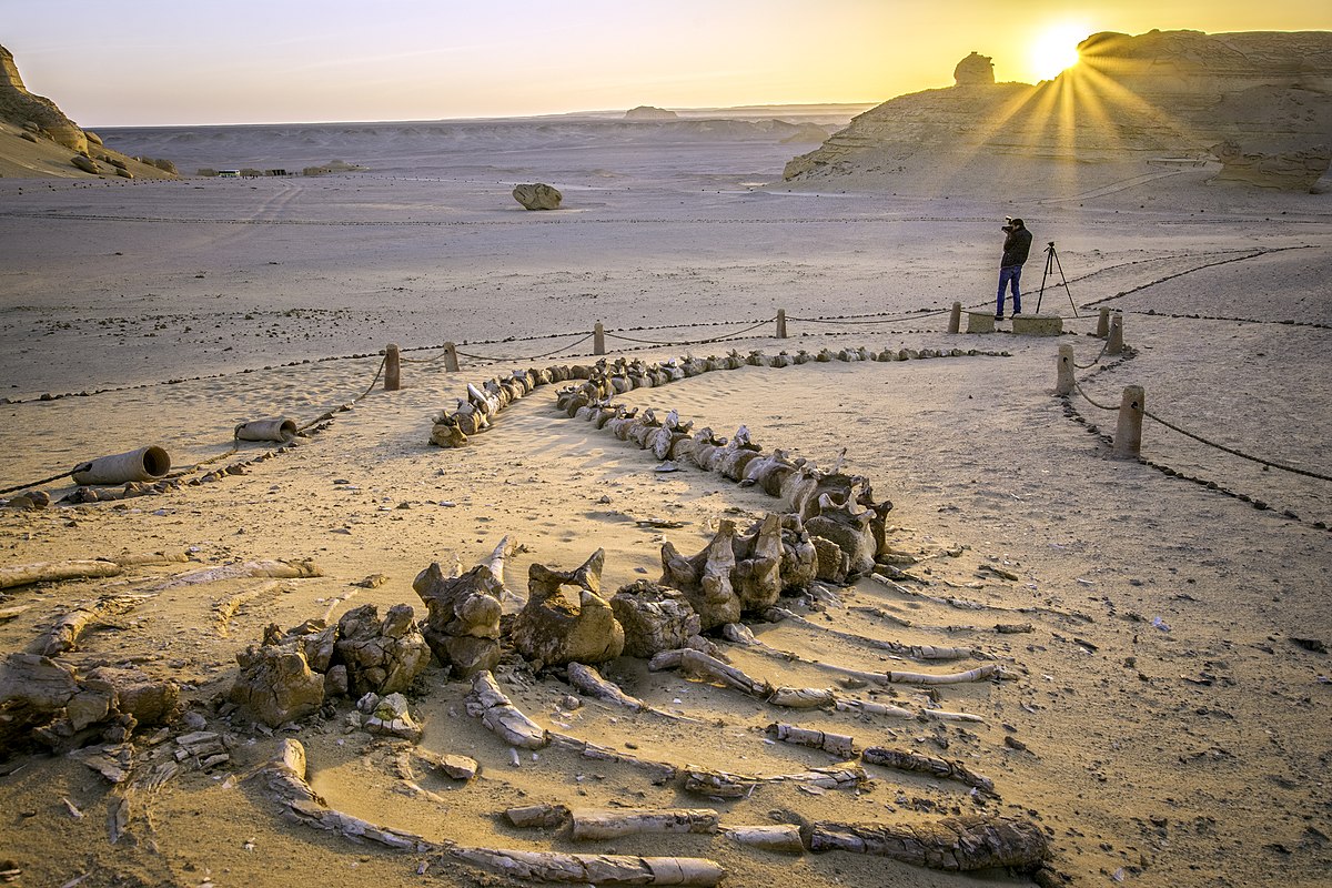 Wadi Al-Hitan