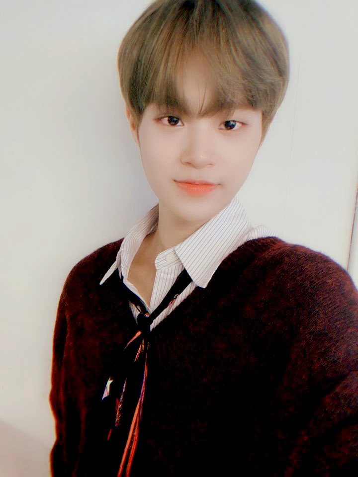 Resmi berpisah, begini kelanjutan karier kesebelas member Wanna One
