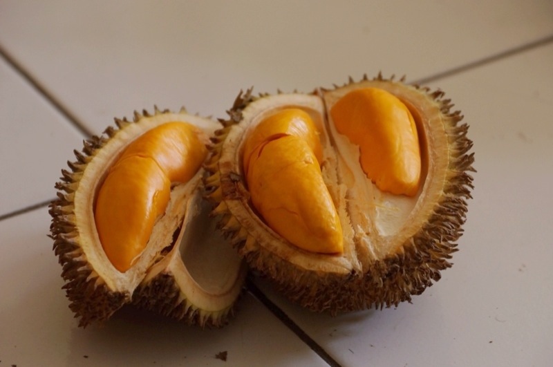 4 Varian durian dari Kalimantan ini wajib dicoba