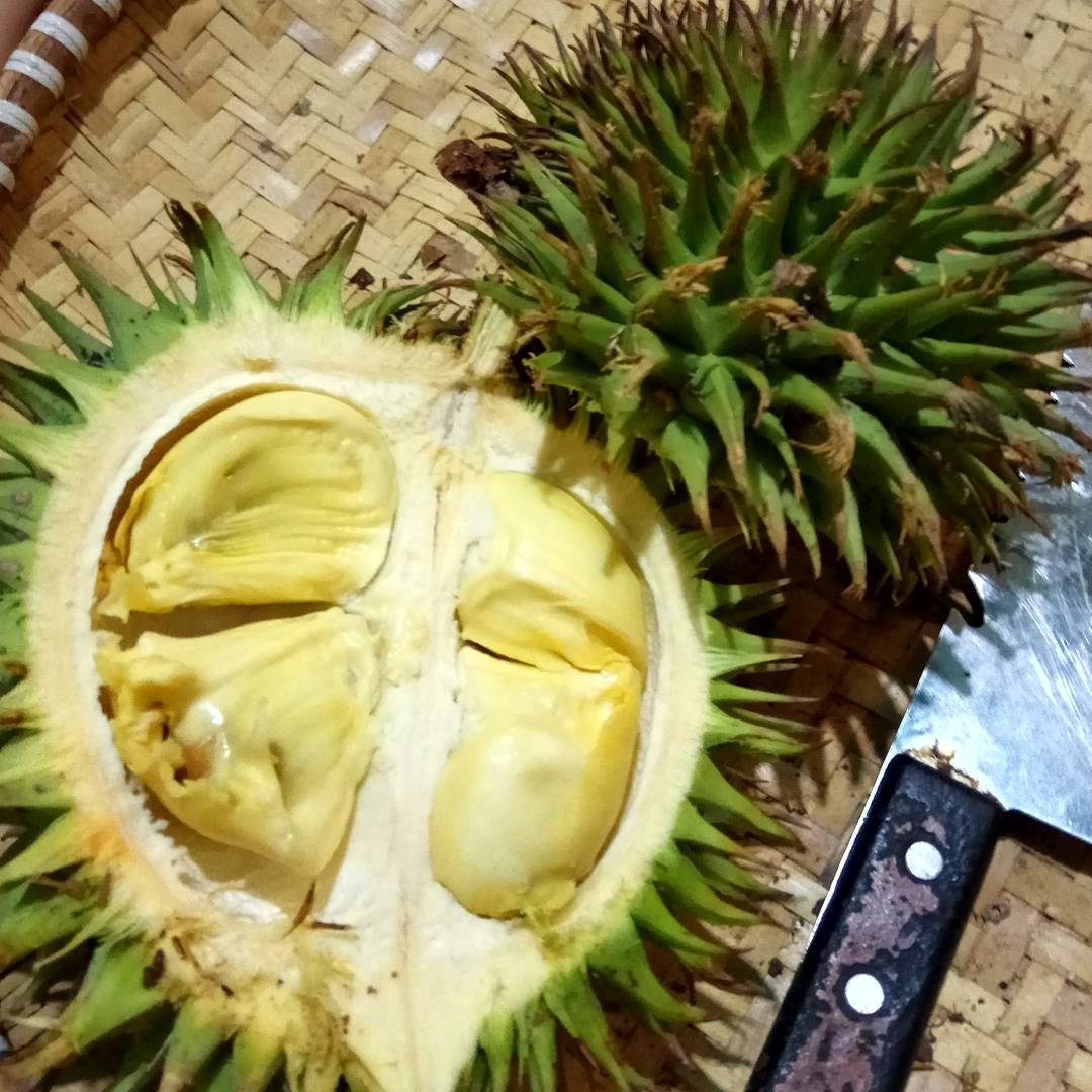 4 Varian durian dari Kalimantan ini wajib dicoba