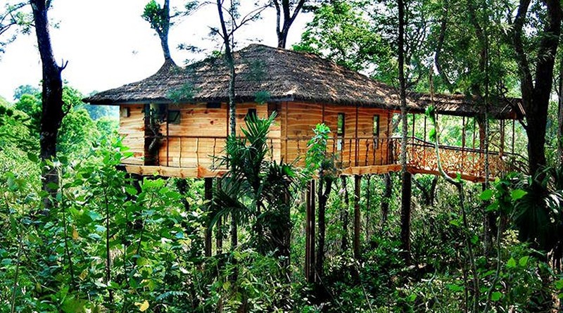 Tranquil Resort Treehouse