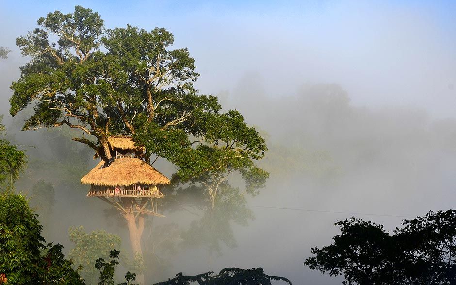 Gibbon Experience Treehouse