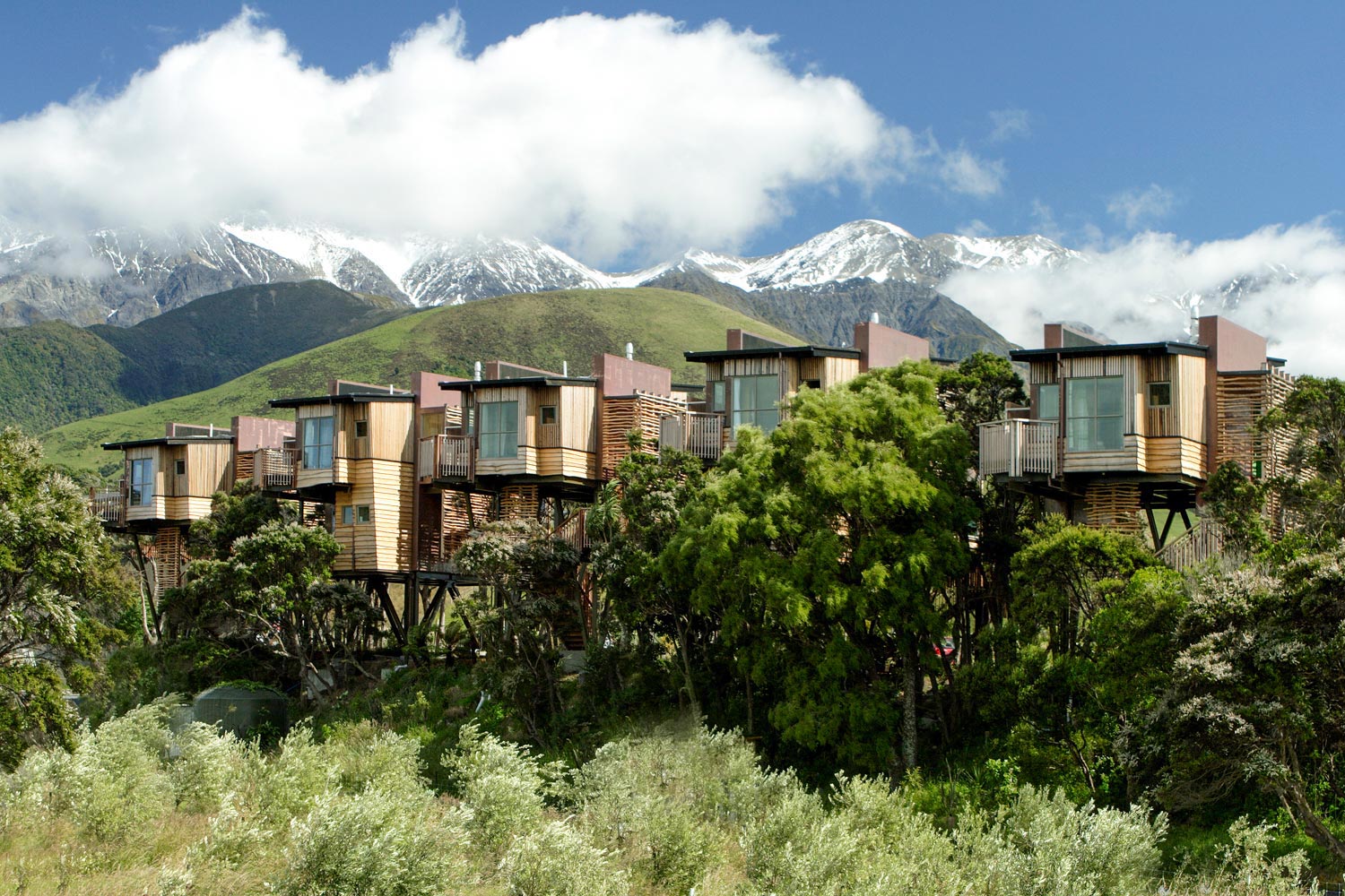 Hapuku Treehouse
