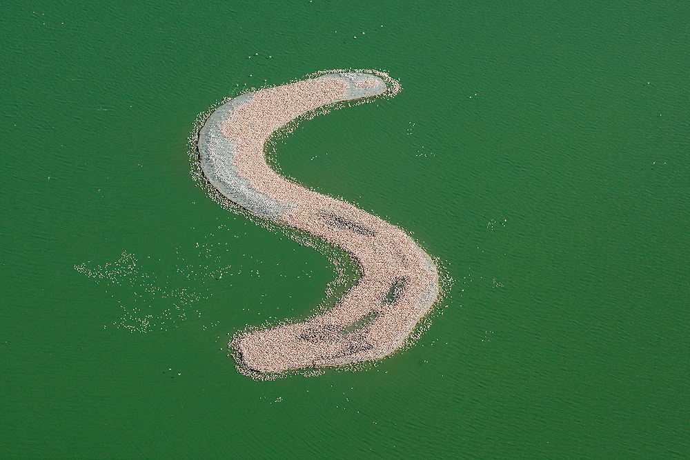 Kamfers Dam Island