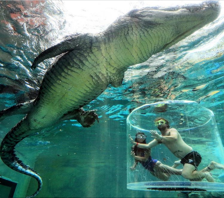 17 Wisata alam ini wajib dijelajahi oleh si 'The Bravest Travelers'