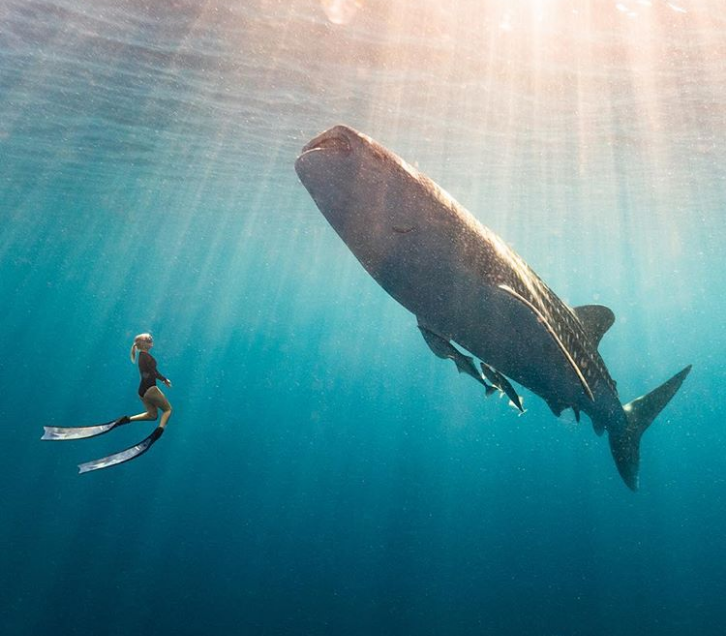 17 Wisata alam ini wajib dijelajahi oleh si 'The Bravest Travelers'