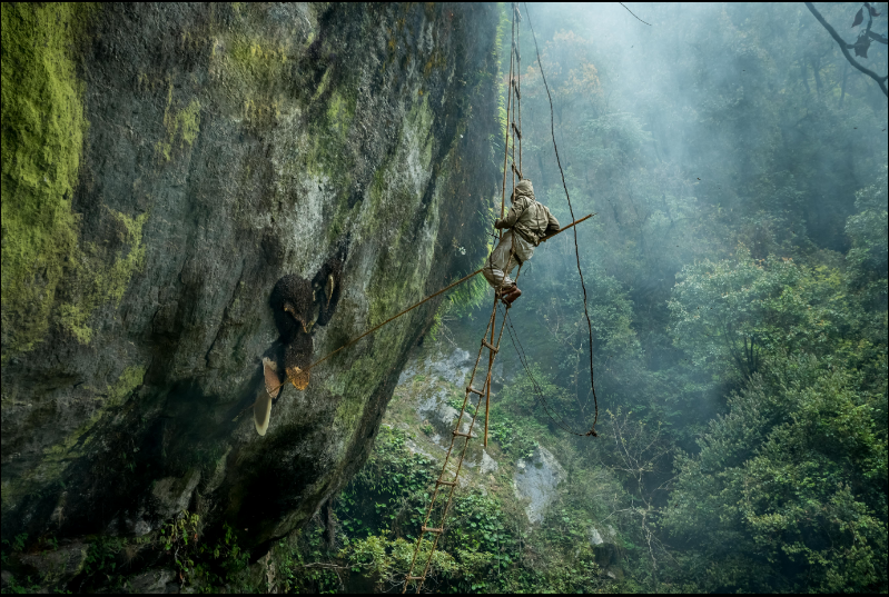 Inilah 12 foto terbaik dari Sony World Photography Awards 2019