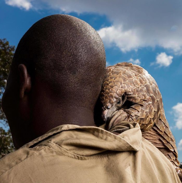 18 Foto hewan dari kontes National Geographic Instagram Photography