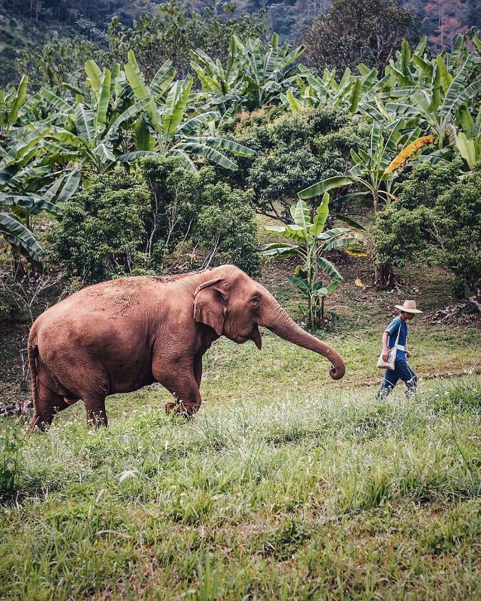 18 Foto hewan dari kontes National Geographic Instagram Photography