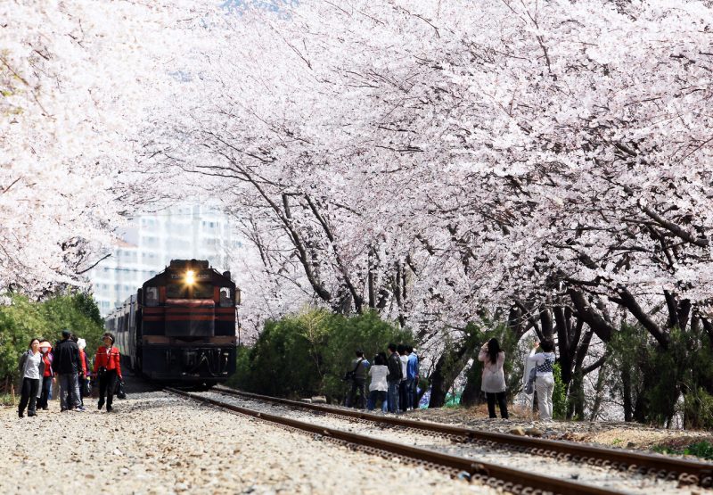 6 Destinasi wisata hits di Korea, ada yang jadi tempat syuting K-Drama