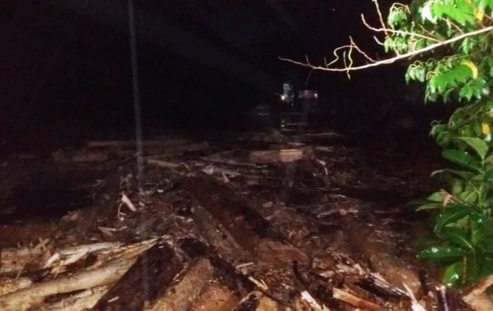 bongkahan kayu yang terbawa banjir bandang di Sentani
