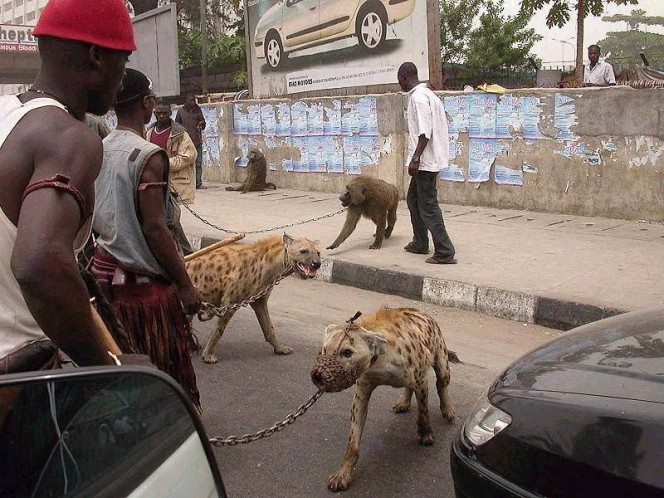Image Credit : www.pieterhugo.com/the-hyena-other-men/