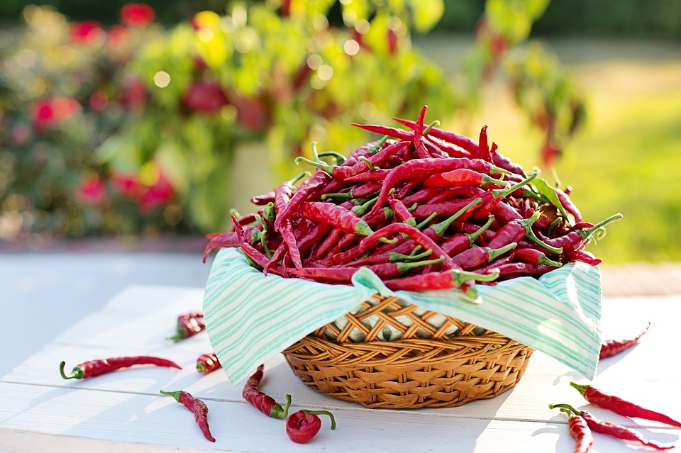 5 Bahan makanan ini dipercaya dapat mencegah perkembangan sel kanker