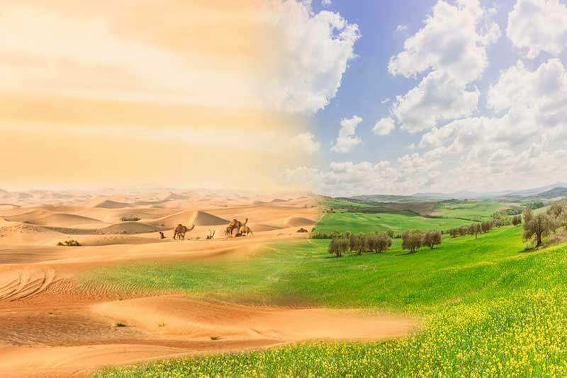 Sahara Berumput