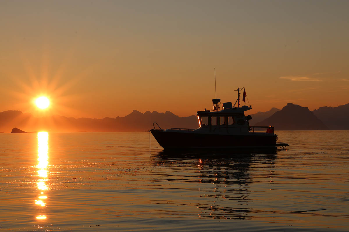 Midnight Sun