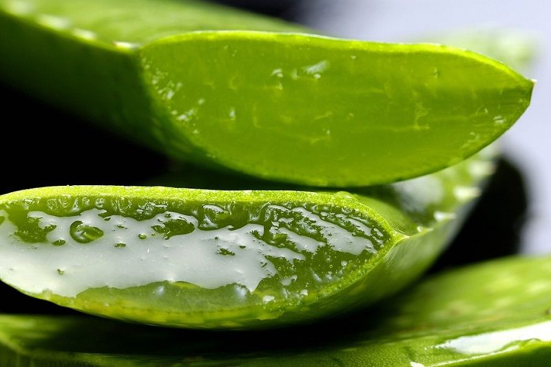 6 Bahan alami ini dapat membantu mengatasi kulit wajah kering