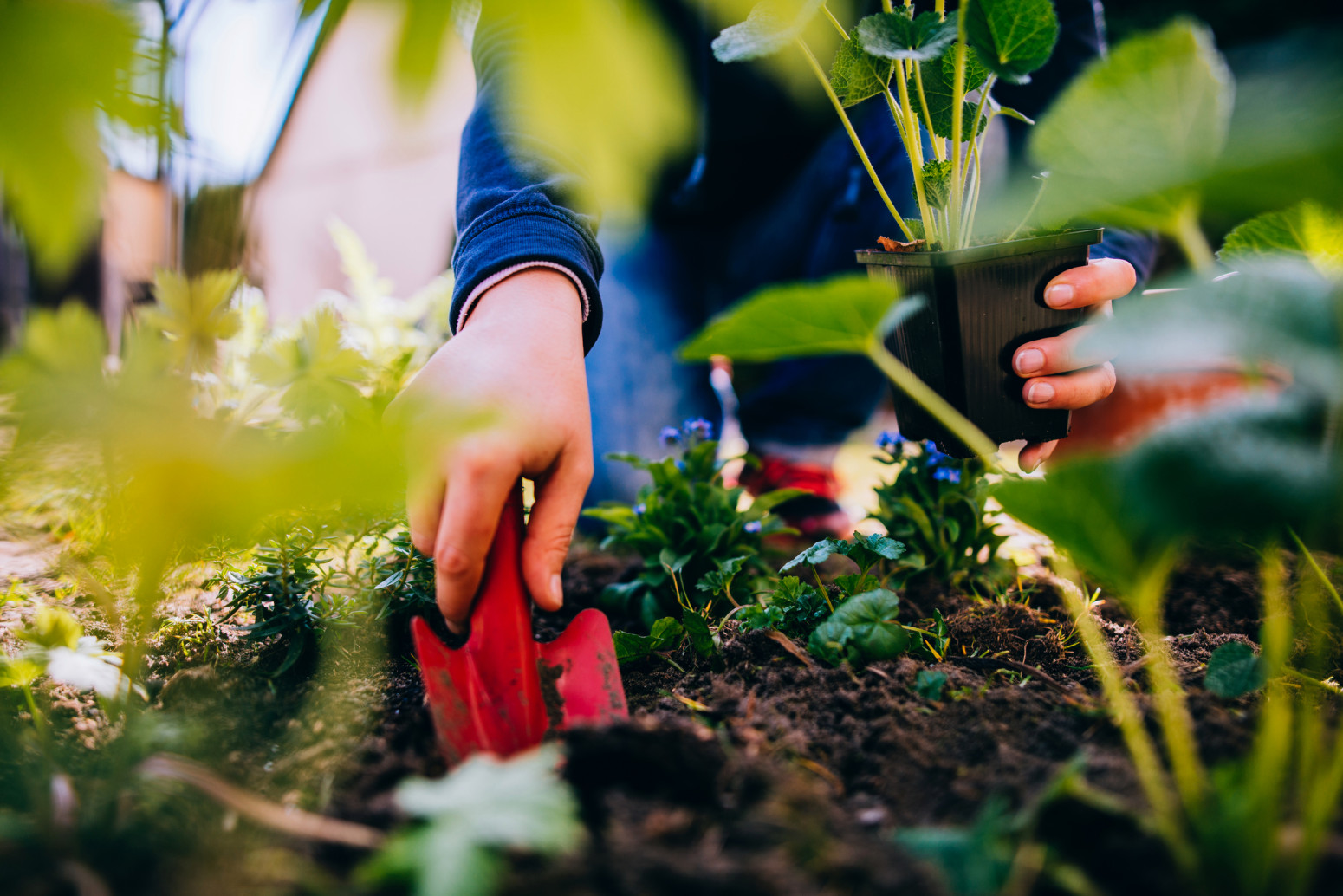 6 Manfaat berkebun ini bisa tingkatkan kesehatan fisik dan mental