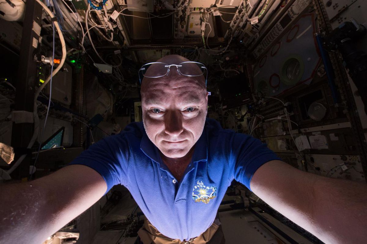 Image Credit : mashable.com
