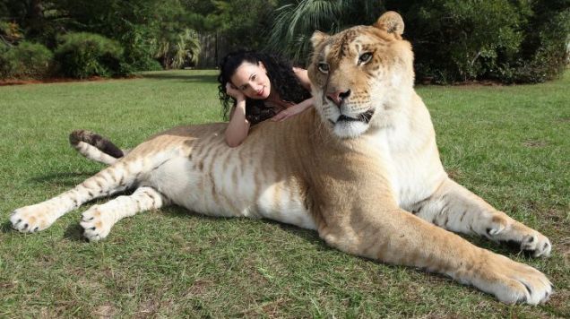 Image credit : www.boredpanda.com