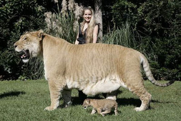 Image credit : www.boredpanda.com
