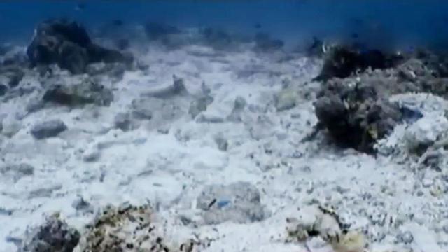 Jadi 'surga' di tanah Papua, ini 4 fakta menarik mengenai Raja Ampat