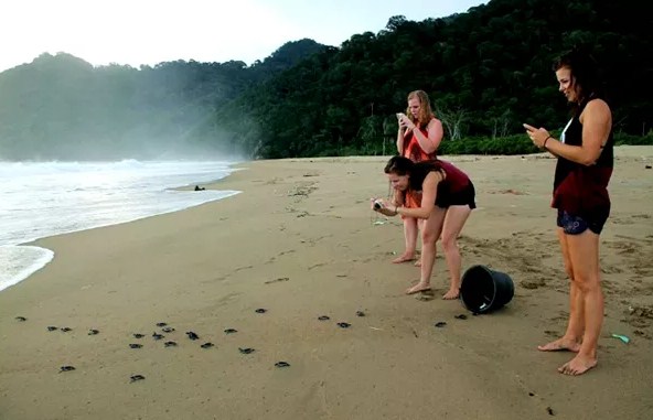 Dijuliki Sunrise of Java, ini 12 pantai eksotis yang ada di Banyuwangi