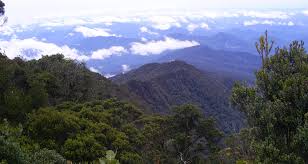 4 Gunung di Indonesia ini punya biaya pendakian termahal