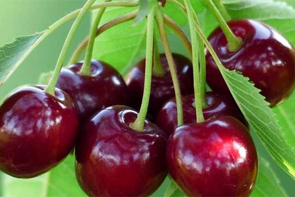 Sering sakit kepala? 3 Buah ini bisa meringankan rasa sakitnya