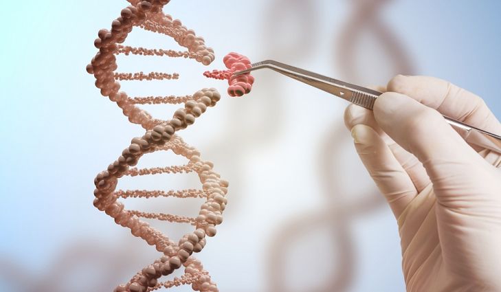 Genetic Modification
