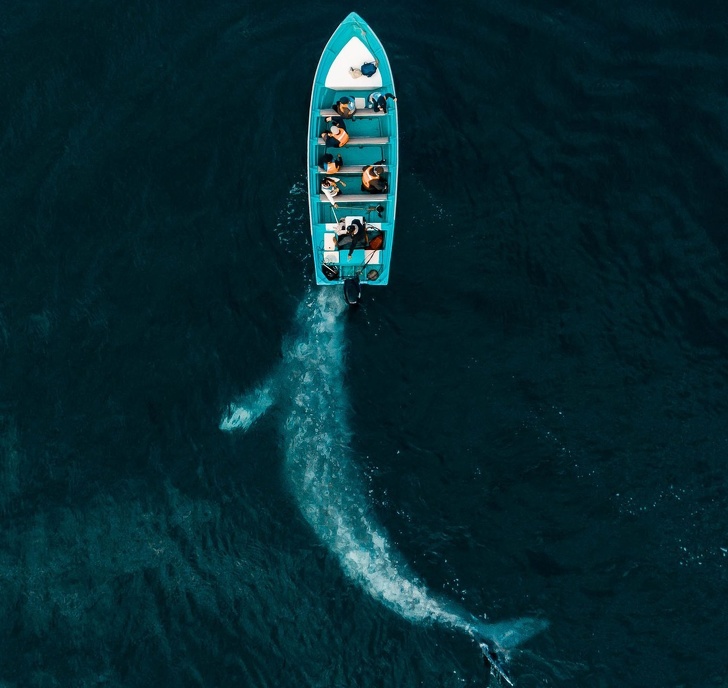 25 Foto dari National Geographic ini membuat waktu seakan terhenti